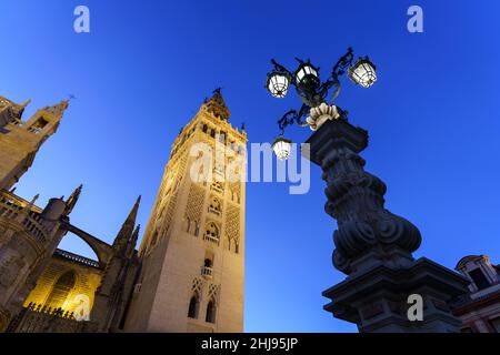 Der berühmte Glockenturm der Giralda der Kathedrale von Sevilla in der Abenddämmerung in der größten Stadt Andalusiens. Es ist ein ehemaliges Minarett aus der Moorzeit. Stockfoto