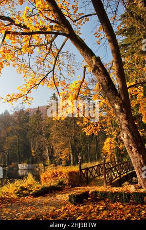 Herbst im Park mit einem See im Kurort Rajecké Teplice, Slowakei, Mitteleuropa Stockfoto