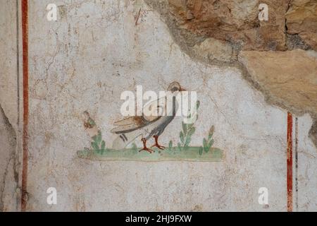 Detailansicht der farbenfrohen Wanddekorationen der Terrassenhäuser in der antiken Stadt Ephesus in Selcuk, Izmir, Türkei am 22. Oktober 2021. Stockfoto