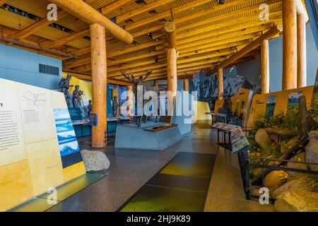 Ausstellungen im Craig Thomas Discovery and Visitor Center im Grand Teton National Park, Wyoming, USA [nur redaktionelle Lizenzierung; kein Eigentum oder Künstler Stockfoto