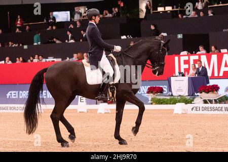 Juan Matute Guimon mit Don Diego ESP während der Longines FEI Weltmeisterschaft 2019 am 30 2019. November in Madrid, Spanien Stockfoto