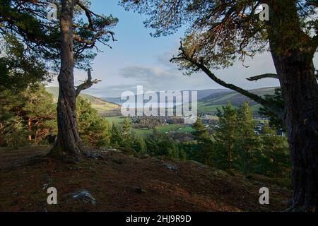 Blick nach Norden auf Drumnadrochit und Loch Ness vom Gipfel des Craigmonie, Highland Region, Schottland, Großbritannien Stockfoto