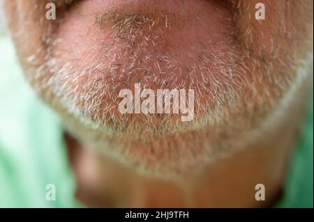 Nahaufnahme des Kinn eines Mannes. Seine schwarz-weißen Stoppeln zeigen sich. Stockfoto