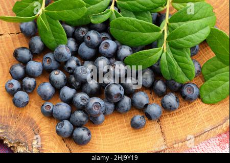 Saftig frische Waldbeeren mit grünen Blättern, die auf handgefertigtem Holzbrett aus der Nähe verstreut sind Stockfoto