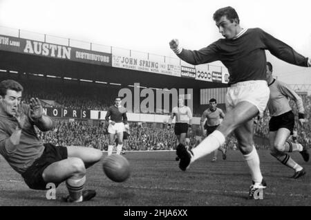 Denis Thwaites, Birmingham City Football Player in Action, Liga-1-Spiel gegen Wölfe in St Andrews, Samstag, 26th. Oktober 1963. Der Schuss von Thwaites wird vom Wolves-Torwart Fred Davies blockiert, Endstand Birmingham 2-2 Wolves. Stockfoto