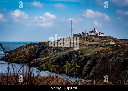 Blick auf Point Lynas Lighthouse und Trwyn Eilian von der Small Bay of Porth Eilian Stockfoto