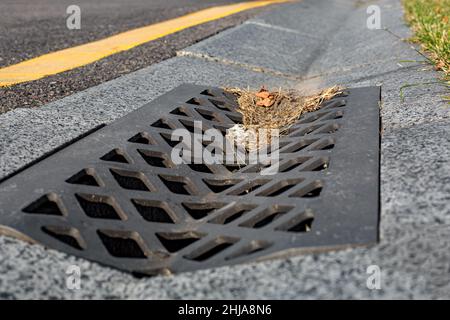 Steinrost mit Löchern zum Ableiten von Sturmwasser aus einem Betongraben an der Seite einer Asphaltstraße, Nahaufnahme eines schmutzigen Abflusskanals an sonnigen Tagen. Stockfoto