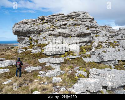 Mt. Williams, Schauplatz des Falkland-Konflikts im Juni 1982, Falklands. Stockfoto