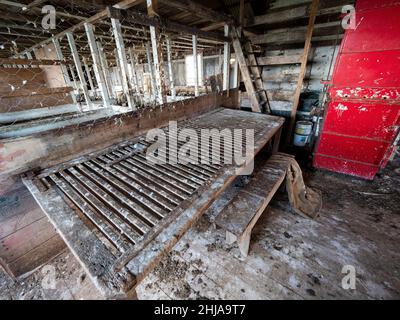 Innenansicht des Schafschurschuppens in der Siedlung, die 1992 auf Keppel Island, Falklands, aufgegeben wurde. Stockfoto