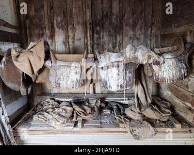 Innenansicht des Schafschurschuppens in der Siedlung, die 1992 auf Keppel Island, Falklands, aufgegeben wurde. Stockfoto