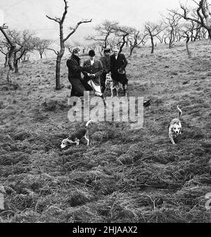 Morde Von Mauren. Search for John Kilbride December 1963 on Saddleworth Moor *** Local Caption *** Ian Brady Myra Hindley Stockfoto