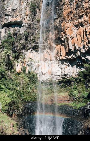 Purling Brook Falls, Gold Coast Hinterland, Australien Stockfoto