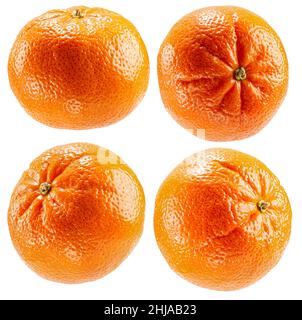 Sammlung von Mandarine isoliert auf weißem Hintergrund. Stockfoto
