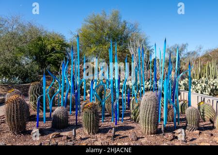 Chihuly im Garten, Blaues Birkenreed und Skorpionvögel, 2021 Stockfoto