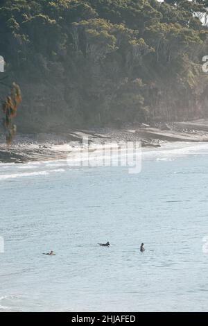 Noosa Heads, Queensland, Australien Stockfoto