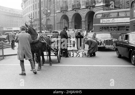 Henry Cooke aus dem Finsbury Park verliert seinen neuen weißen Flügel im Piccadilly Circus. Herr Cooke, der gerade das Klavier vom „Scene“ Twist Club, Windmill Street, gekauft hatte, schaffte es mit Hilfe von zwei Polizisten und seinem Assistenten John Maskell, das Klavier auf seinen Sago zurückzuholen. 1st. April 1963. Stockfoto