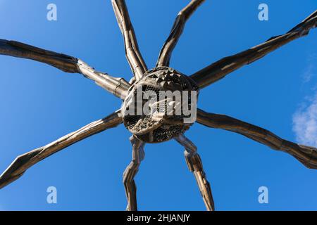 Bilbao, Spanien - 22. Apr 2021: Nahaufnahme der Maman-Spinnenskulptur von Louise Bourgeois im Guggenheim Museum in Bilbao über blauem Himmel Stockfoto