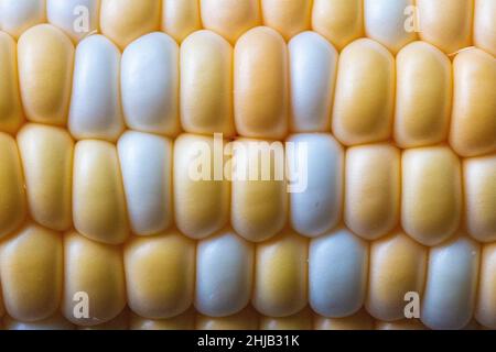 Makroaufnahme eines frischen, ungekochten Mais auf dem Maiskolben, Textur, Hintergrund Stockfoto