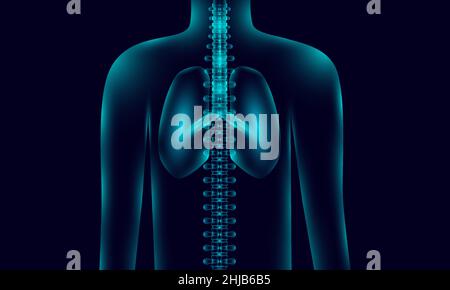 Transparente menschliche Körperanatomie Hintergrundbeleuchtung mit Lunge Rückgrat, Röntgen-Ton-Stil. vektor-Illustration EPS10 Stock Vektor