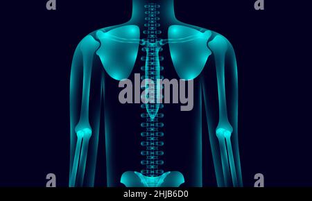 Transparente menschliche Körper Anatomie Hintergrundbeleuchtung mit Hand Schulter Hüfte Brust Rückgrat, Röntgen-Ton-Stil. vektor-Illustration EPS10 Stock Vektor