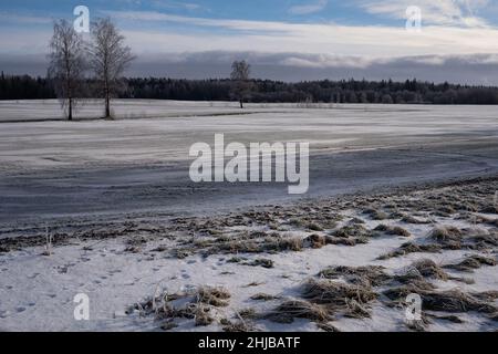 Frostiger Winternachmittag in der Landschaft Lettlands Stockfoto