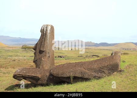 Wenige von zahlreichen unfertigen riesigen Moai-Statuen am Fuße des Vulkans Rano Raraku, Osterinsel Chiles, Südamerika Stockfoto