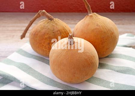 Drei frische reife Santol-Früchte oder Wild Mangosteen auf gestreiftem Küchenwäsche Stockfoto