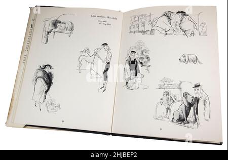 Klassisches Buch Merry England von Ronald Searle erste Ausgabe, veröffentlicht 1956, von Hundeausstellung Stockfoto