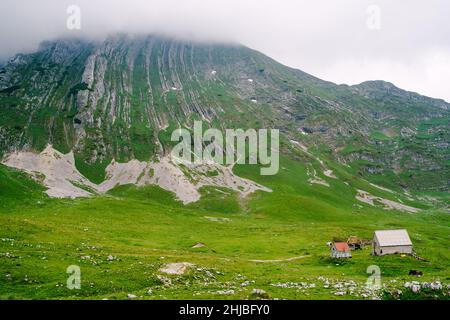 Haus am Fuße des grünen Berges im Norden von Montenegro Stockfoto