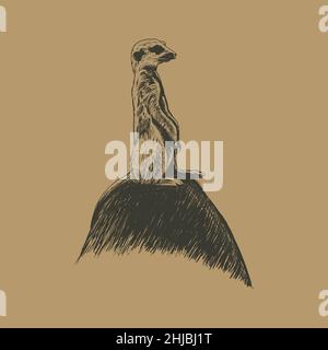 Erdmännchen auf Steinhandzeichnung Stock Vektor