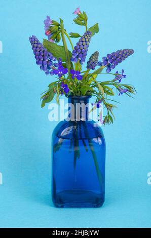 Blaue Wildblumen in Vase auf hellem Hintergrund. Studio Photo Stockfoto