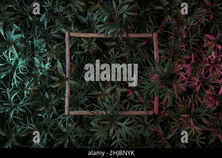 3D Rendering von Bambusstäbchen quadratische Form von Bambusblättern bedeckt. Flaches Lay aus minimalem fernöstlichen Naturstilkonzept Stockfoto