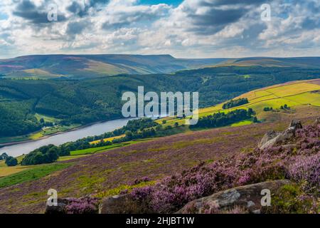Blick auf das Ladybower Reservoir und die blühende violette Heide auf Derwent Edge, Peak District National Park, Derbyshire, England, Großbritannien, Europa Stockfoto