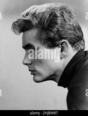 James Dean Portrait für 'Rebel without a Cause' USA, 1955 Regie: Nichola Ray Stockfoto