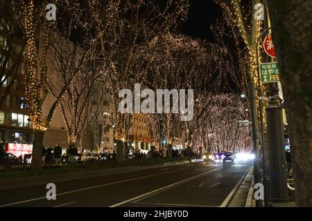 Sendai, Präfektur Miyagi, Japan, 28. Dezember 2021. Beleuchteter 'Lichtzug' auf Jozenji-dori in der Nacht. Stockfoto