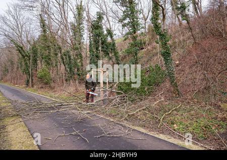 28. Januar 2022, Sachsen-Anhalt, Bad Dürrenberg: Ein Forstarbeiter arbeitet für die kommende Landesgartenschau (Laga) an der Räumung der Saale. Nach der Entfernung des Wildwuchses ist eine Neubepflanzung geplant, um die zukünftige Erosion einzudämmen. Die Laga findet von April bis Oktober 2023 auf einer Fläche von rund 15 Hektar statt. Der Kern des Geländes ist der Kurpark. Dort befindet sich auch das Graduiertenhaus. Foto: Jan Woitas/dpa-Zentralbild/ZB Stockfoto