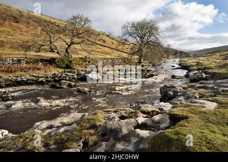 Die oberen Regionen des Flusses Wharfe in Langstrothdale, in der Nähe von Yockenthwaite, Yorkshire Dales National Park, Großbritannien Stockfoto