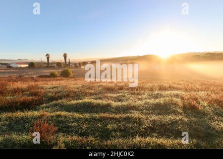 Blick auf die typische Alentejo-Landschaft mit portugiesischem Dorf im Morgennebel und aufgehender Sonne auf dem Wanderweg Rota Vicentina in der Nähe von Carrascalinhino, Aljezur Stockfoto
