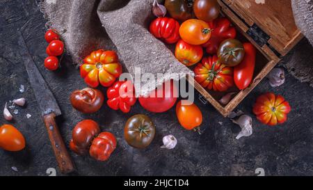 Ernten Sie Tomaten aus biologischem Anbau - rot, gelb, orange, braun. Vielfalt Frische bunte Tomaten verschiedener Sorten. Komposition im Retro-Stil Stockfoto