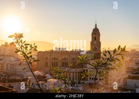 Panoramablick auf die Kathedrale der Menschwerdung von Malaga in Spanien bei einem wunderschönen Sonnenuntergang Stockfoto