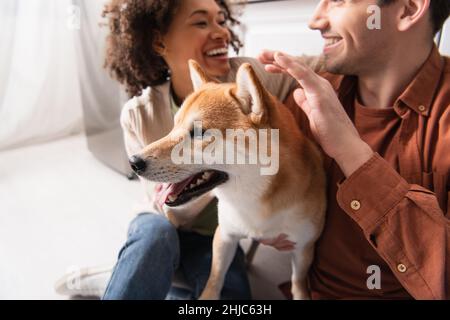 Verschwommenes interrassisches Paar, das sich anlächelt, während es shiba Inu Hund kuschelt Stockfoto