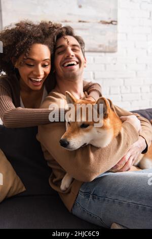 Lächelnde afroamerikanische Frau streichelt shiba Inu Hund in der Nähe von Freund auf der Couch zu Hause Stockfoto