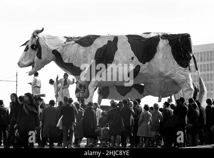 Bristol University Rag 1968: Am Samstag, den 9. März, starten Schwimmer am Parkplatz der Clifton Down Station in die Innenstadt. Die riesige Kuh, die von Veterinärstudenten der Centaur Society konstruiert wurde, gewann den besten Floß. Nonesuch, die Studentenzeitung, berichtete, dass sie realistisch ihre Lippen leckte, Heu aß und beim Wassermachen den Schwanz hob. Die Route führte entlang der Whiteladies Road und der Park Street, umkreiste dann das Zentrum, bevor sie entlang der Park Row zu den Victoria Rooms zurückkehrte. Tausende von Zuschauern säumten die Straßen und Tausende von Pfund wurden gesammelt Stockfoto