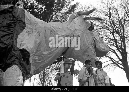 Bristol University Rag 1968: Der Siegerwagen der Rag-Prozession 1968 passiert Radio 1 DJ Ed Stewart am Ende der Parade, die er mit der diesjährigen Rag Queen durch die Stadt geführt hatte. Die riesige Kuh wurde von Veterinärstudenten der Centaur Society konstruiert. Nonesuch, die Studentenzeitung, berichtete, dass sie sich realistisch die Lippen leckte, Heu aß und bei der Wasserherstellung den Schwanz hob. Die Prozession war am Samstag, dem 9. März, vom Parkplatz der Clifton Down Station aus aufgeschlagen und durch das Stadtzentrum an den Victoria Rooms und dem Wills Memorial Building vorbeigefahren. Stockfoto