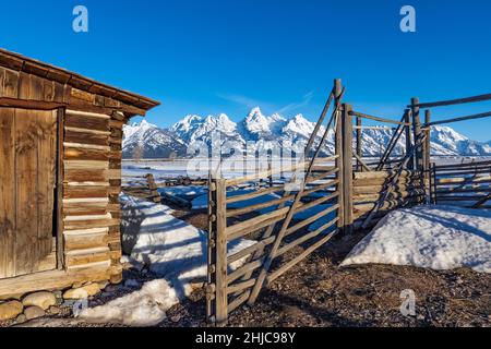 Corral in John Moulton Homestead, Teil der historischen Siedlung Mormon Row im Grand Teton National Park, Wyoming, USA Stockfoto