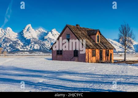 Pink House im John Moulton Homestead, Teil der historischen Siedlung Mormon Row im Grand Teton National Park, Wyoming, USA Stockfoto