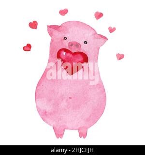 Aquarell Valentinstag Schwein. Ferkel hält ein auf Weiß isoliertes Herz. Pink Ferkel gesteht seine Liebe. Stockfoto