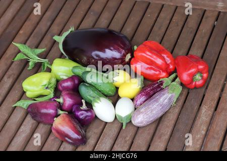 Gemüse im heimischen Garten geerntet. Verschiedene Sorten von Paprika, Auberginen und Gurken. Stockfoto