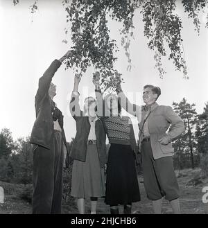 1940s Outdoor-Leben. Eine Gruppe junger Menschen ist in der Natur und interessiert sich für Pflanzen und Blumen. Sie tragen die typische 1940s Art von Outdoor-Kleidung mit sportlichem Charakter, die praktisch und langlebig ist. Sie studieren die Blätter einer Birke. Schweden 1949. Foto Kristoffersson Ref AT1-7 Stockfoto