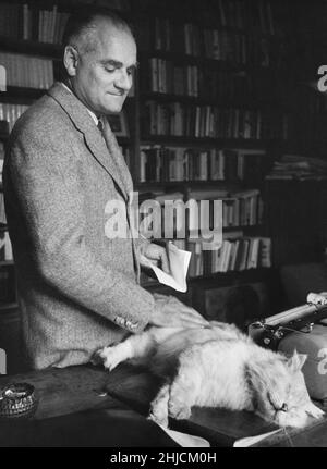 Alberto Moravia (1907-1990) in seinem Arbeitszimmer bei einer persischen Katze. Moravia war ein italienischer Schriftsteller (geboren Alberto Pincherle), der als Kind an Tuberkulose litt und ihn dazu zwang, zu Hause zu studieren und viel Zeit zu haben, dies zu tun. Im Alter von 22 Jahren schrieb er "The Time of Indifference", einen Roman, der den Faschismus kritisierte. Er mochte Mussolini nicht und war während des Krieges auf der Flucht, weil er von der Regierung schikaniert wurde und ihn dazu zwang, unter dem Pseudonym Mähren zu schreiben. Stockfoto